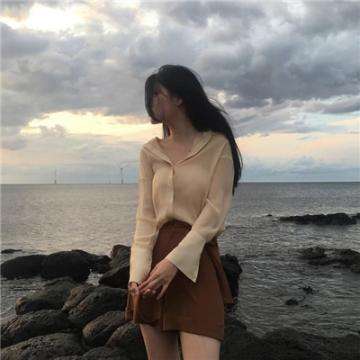 网狼内购破解版(含数据包)下载